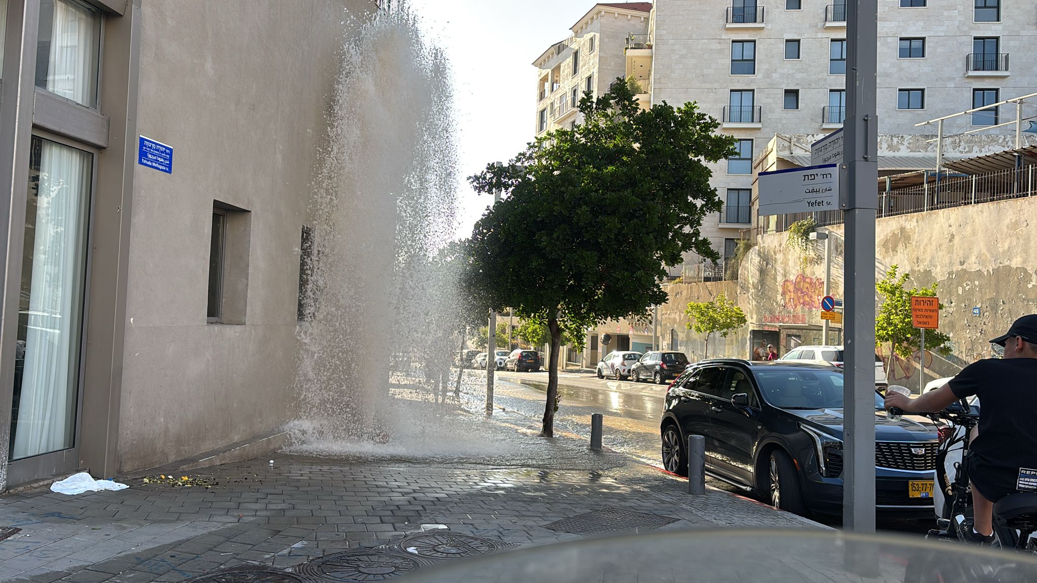 WhatsApp Image 2024-10-18 at 16.20.41_08747292.jpg